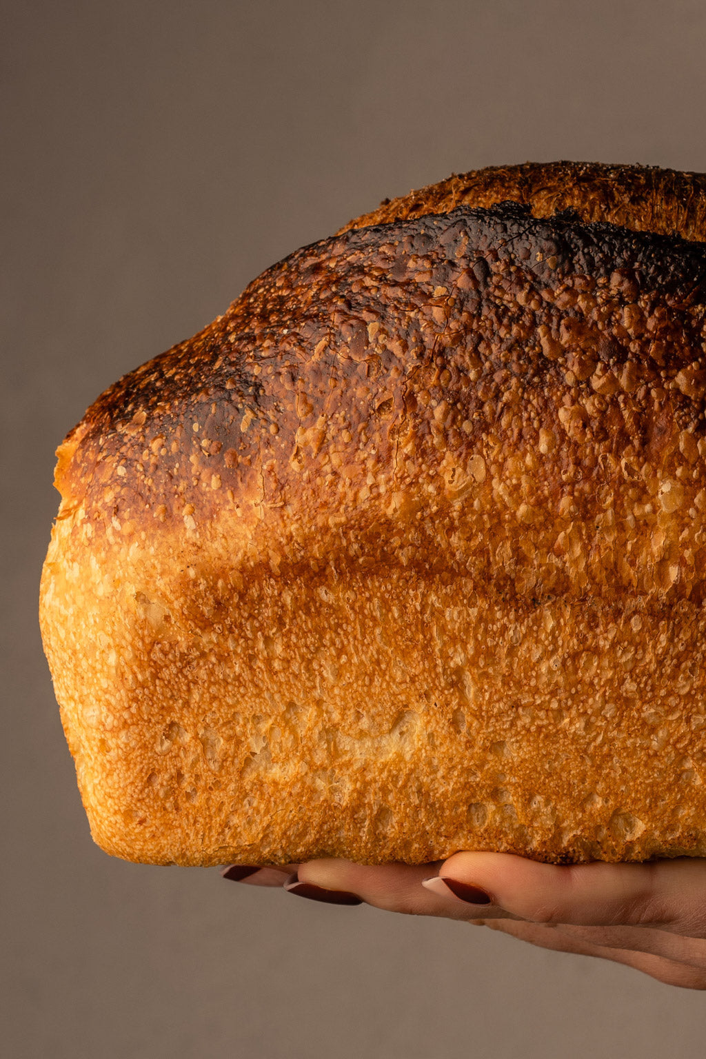Wholemeal Sourdough